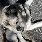 Trattoria I Bodega Gasthof