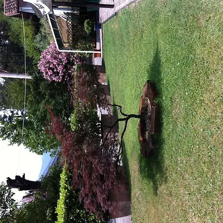 ゲストハウス Trattoria I Bodega