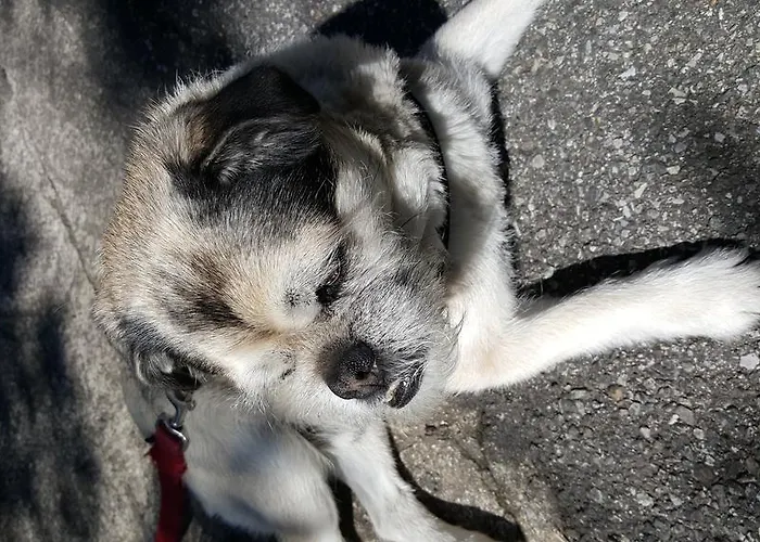 Trattoria I Bodega Pensionat