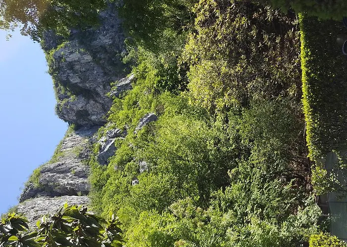 Trattoria I Bodega Abbadia Lariana