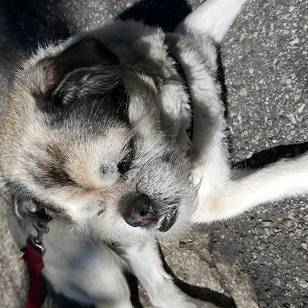 Trattoria I Bodega Guest house